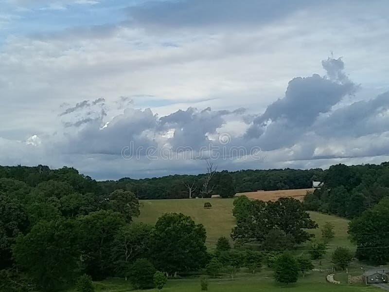 Rakestraws Stock Photos Free & RoyaltyFree Stock Photos from Dreamstime