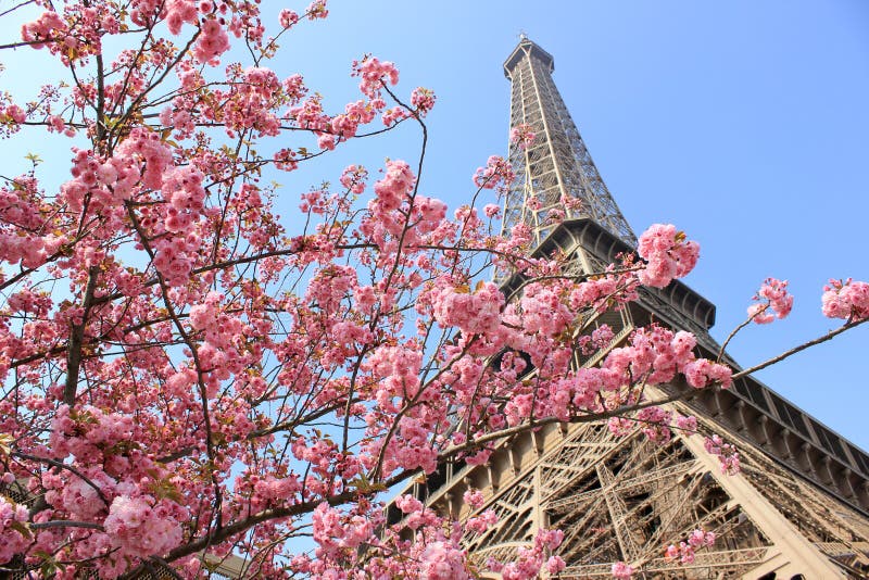 La Torre sobre el primavera en París, Francia.