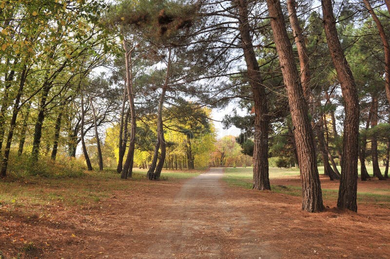 Park in autumn