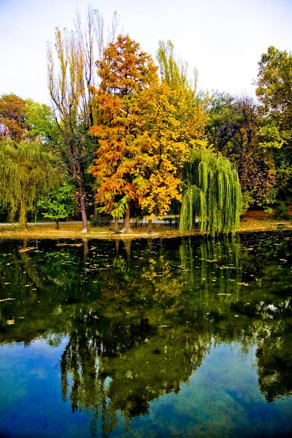 Park in autumn