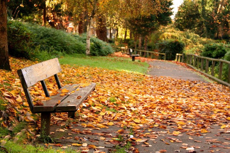 Park in Autumn