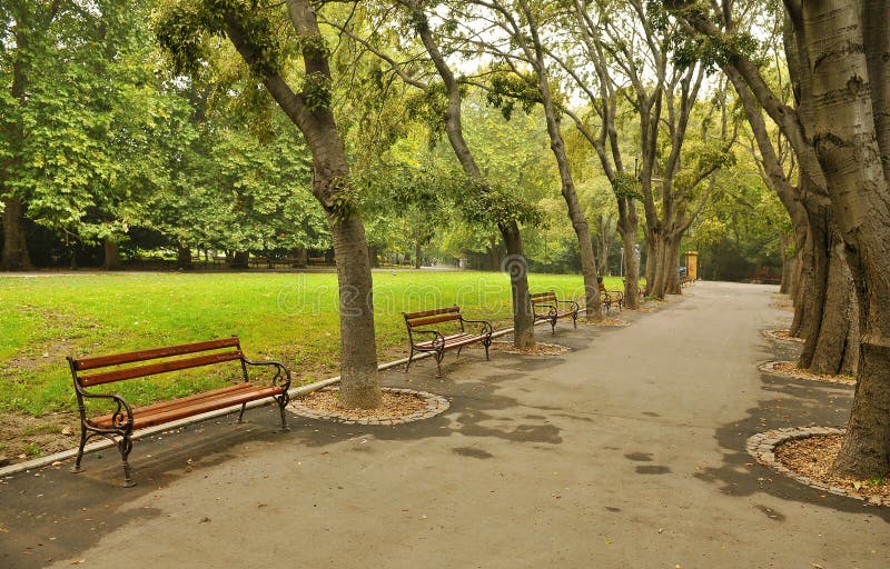 Park in autumn