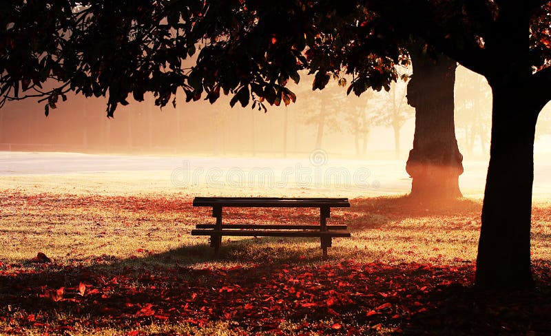 Park bench