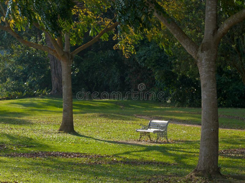 Park Bench