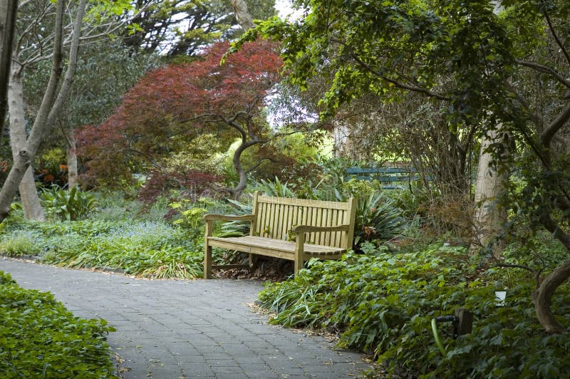 The Park Bench