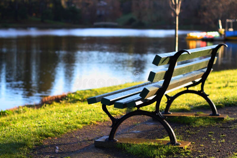 Park bench at the lake