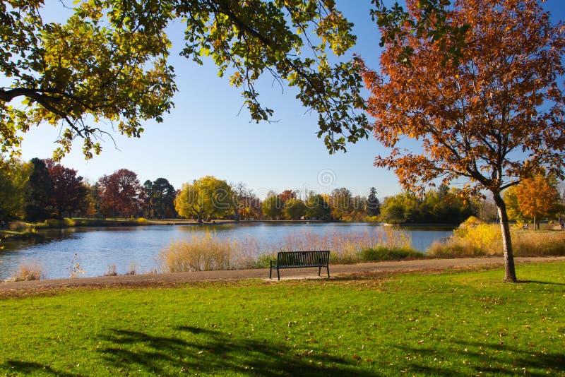 Park Bench by the Lake in Fall