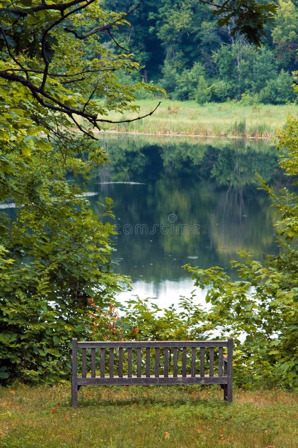 Park Bench by Lake in Summer
