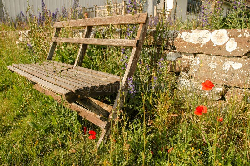 Park bench with poppys