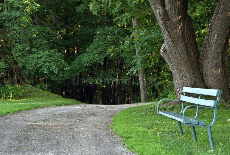 Park Bench by trail