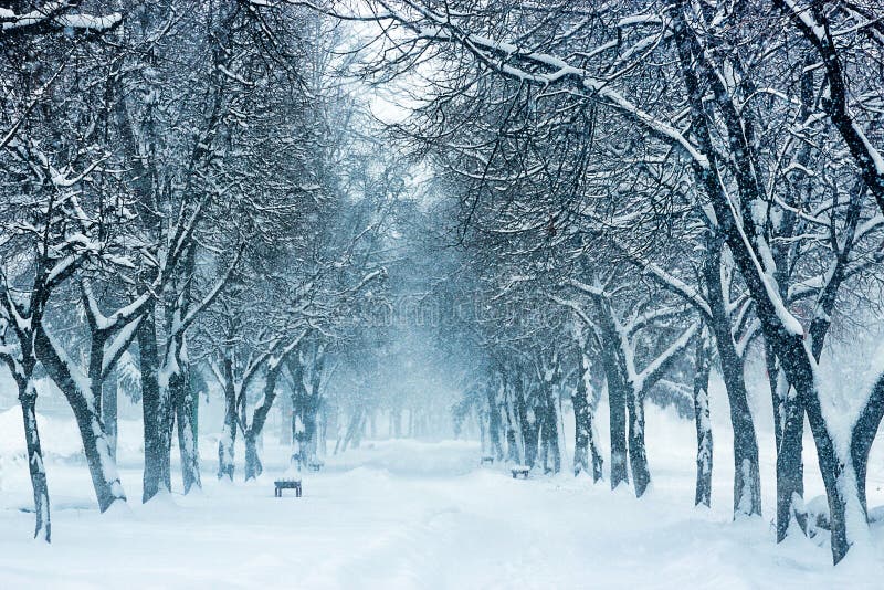 Park bench and trees covered by heavy snow.