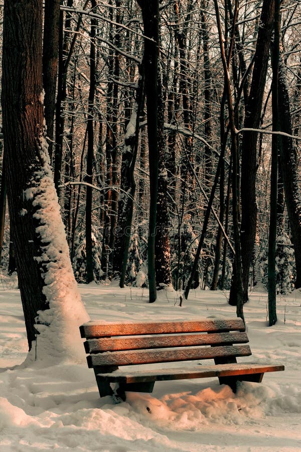 A park covered with snow