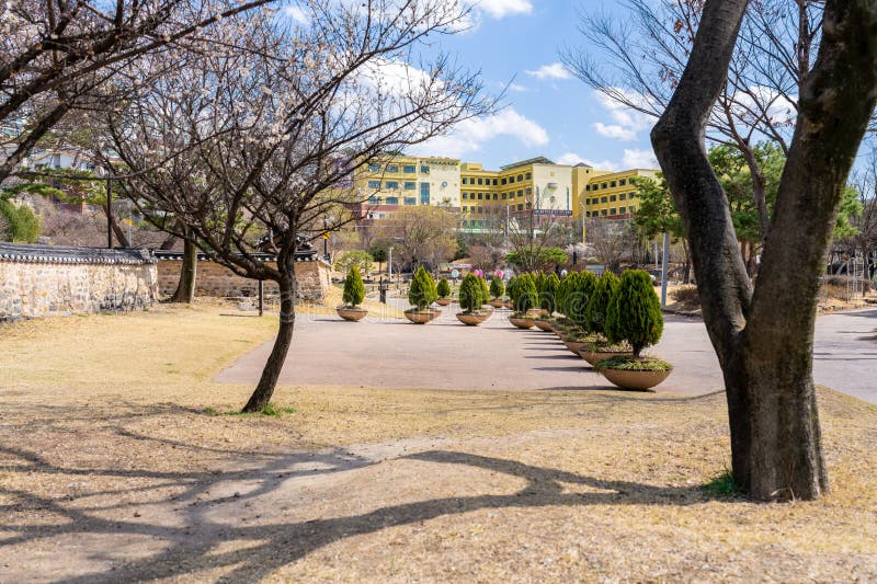 Park dongchundang południowy korea. W parku dongchundang daejeon south korea. początek sezonu