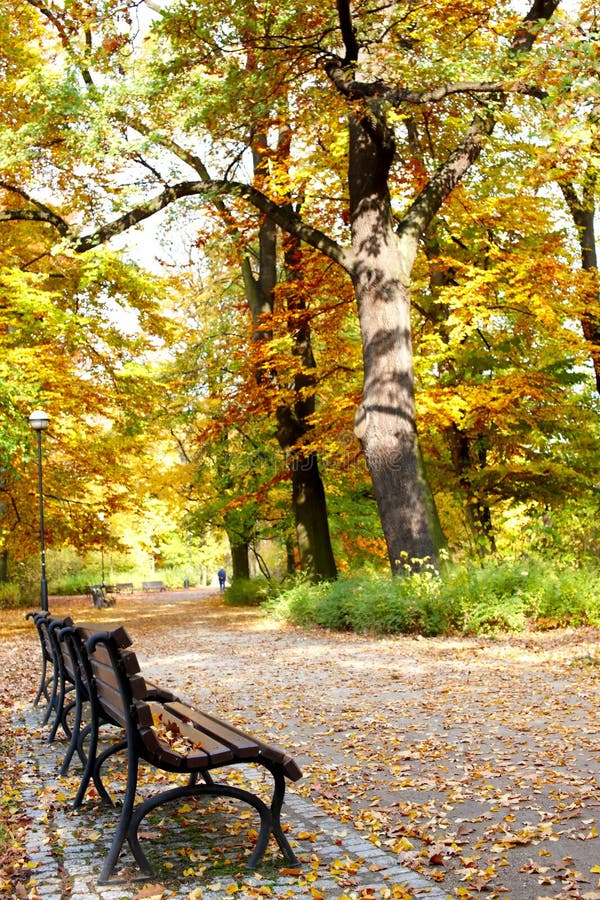 Park in fall time