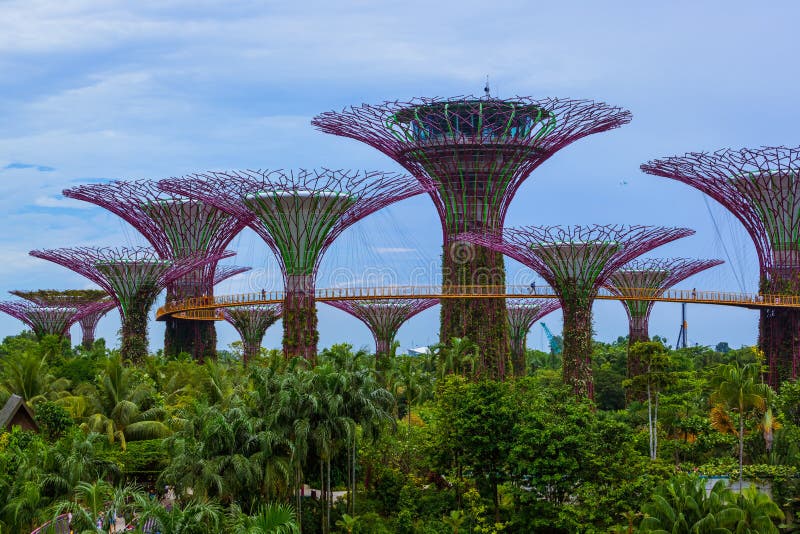 Park Gardens by the Bay - Singapore Stock Image - Image of asia, harbor ...