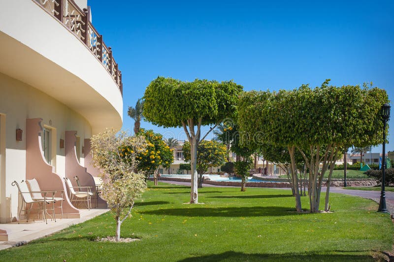 Park, green trees and a balcony