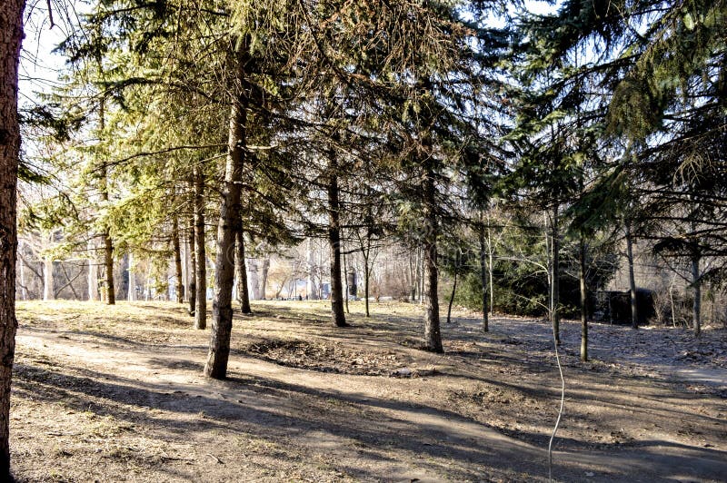 Park im frühen Frühling lizenzfreies stockbild Park im frühen Frühling lizenzfreies stockbild