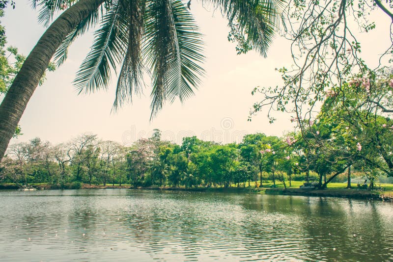 Park landscape stock photo. Image of road, blue, flowers 54769342