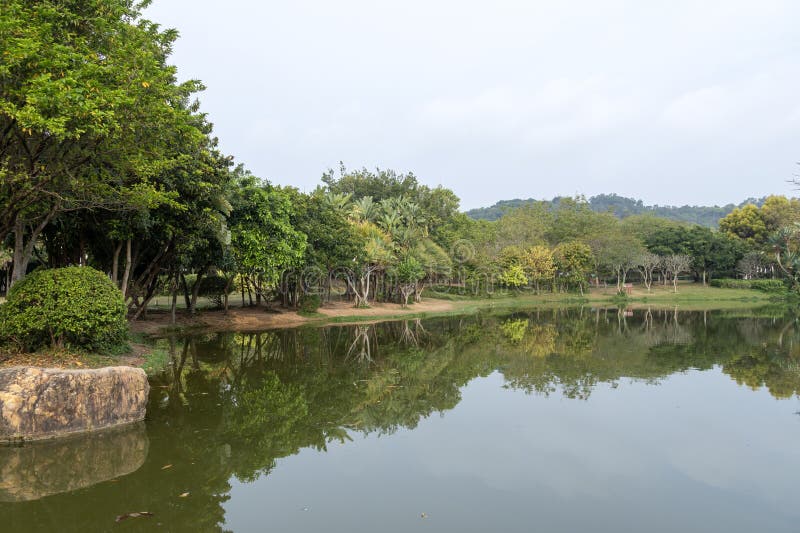 Park Lianhuashan w Shenzhen zdjęcia stock