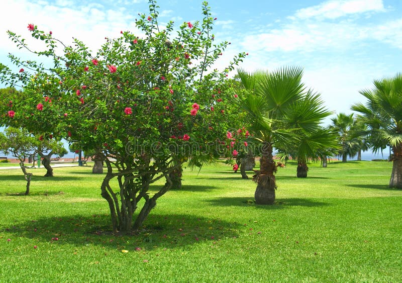 Park in Lima, Peru stock photos Park in Lima, Peru stock photos