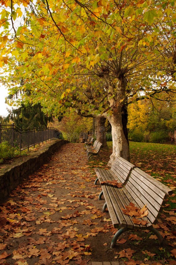 Park mit Bänke im Herbst stockfotografie Park mit Bänke im Herbst stockfotografie