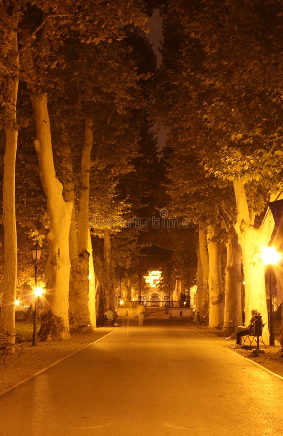 Park at night