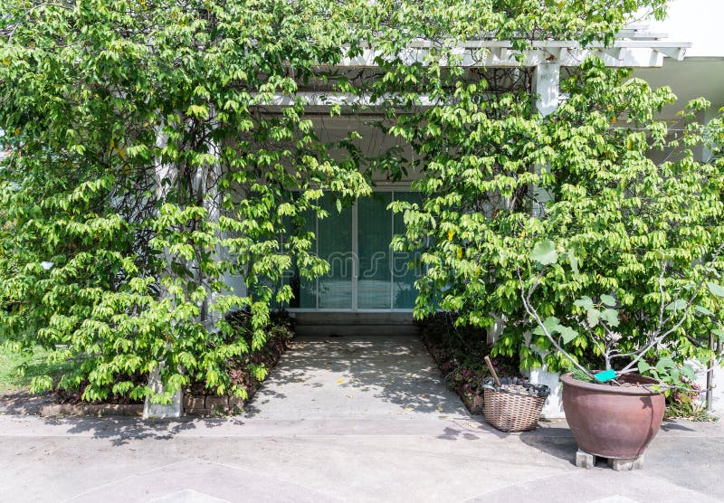 Park office that is covered with trees stock photo Park office that is covered with trees stock photo