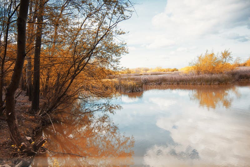 Park of Pateira Fermentelos,Aveiro,Europa, Portugal. Stock Photo ...