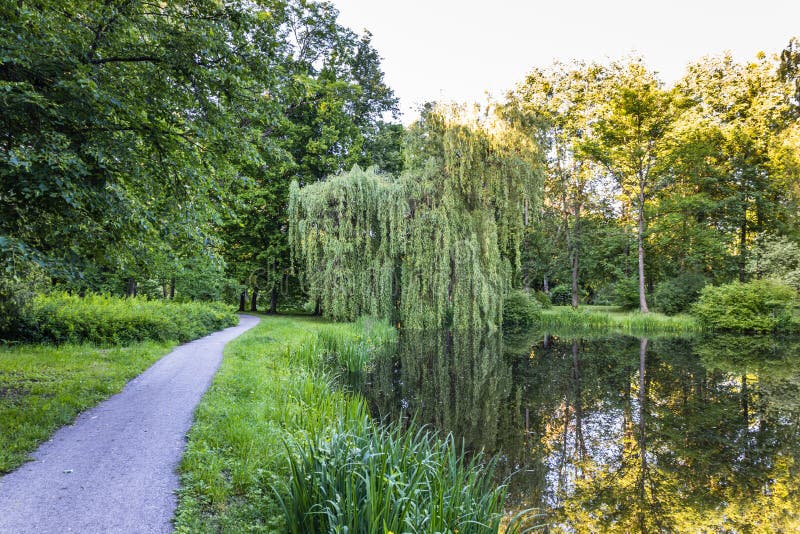 Park in a quiet place to rest with a pond. Summer in the city