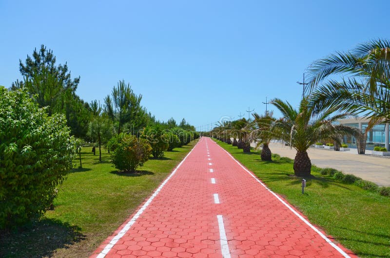 Park running track royalty free stock images Park running track royalty free stock images