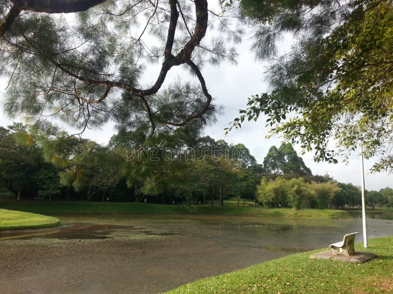 The Park& X27;s Green Meadows by the River. Stock Photo Image of