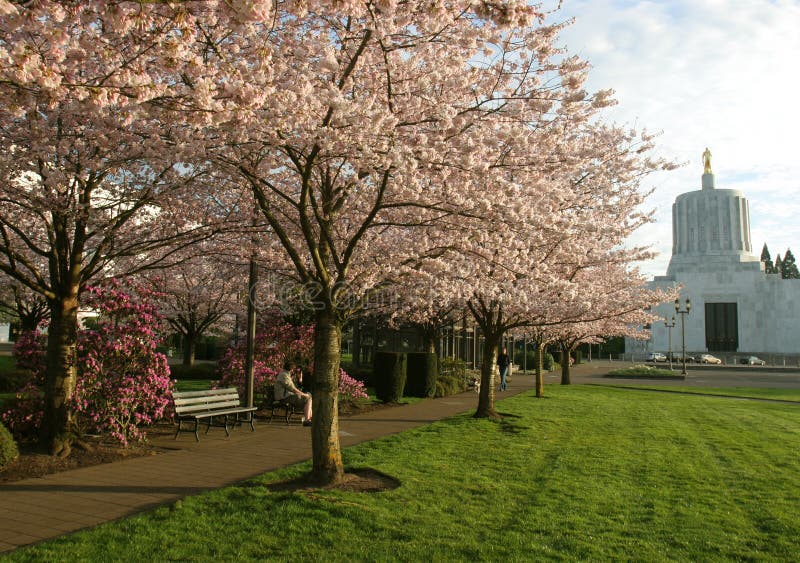 Park Salem, oregon zdjęcie stock. Obraz złożonej z park 2100672