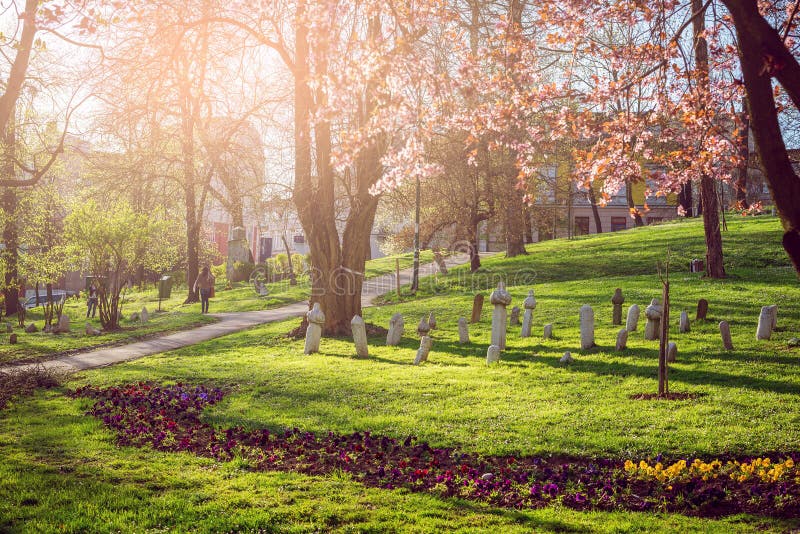 Park in Sarajevo with spring bloom royalty free stock image