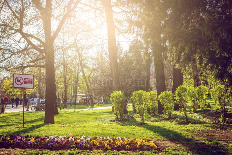 Park in Sarajevo with spring bloom stock image