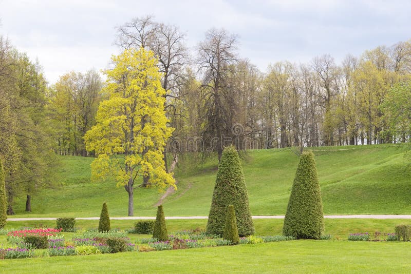 Park in spring