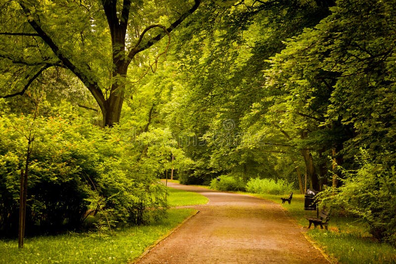 Park in spring time