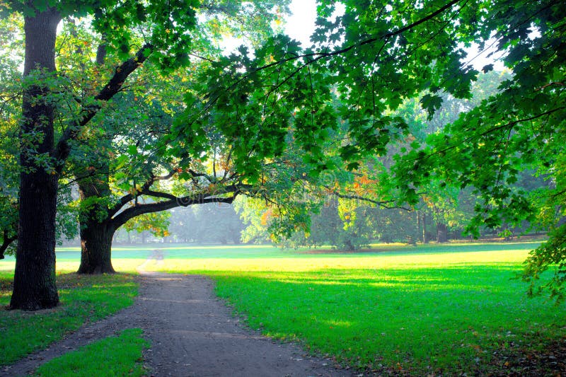 Park in spring time