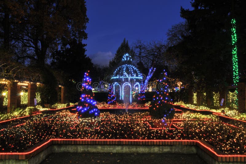 Park and Tilford Gardens Christmas Lights Stock Photo Image of flower