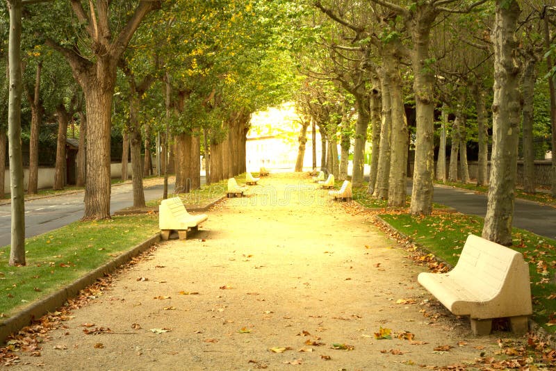 Park with trees and benches