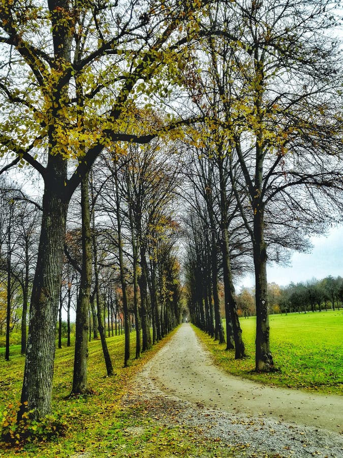 Park view in autumn, Munich