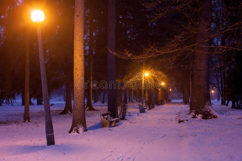 Park with street lamps and benches at night in the winter. Park with street lamps and benches at night in the winter