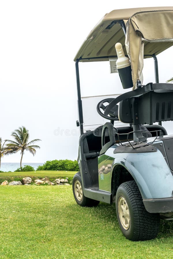 Close up side view of a parked green golf cart on golf course with palm trees in the distance.