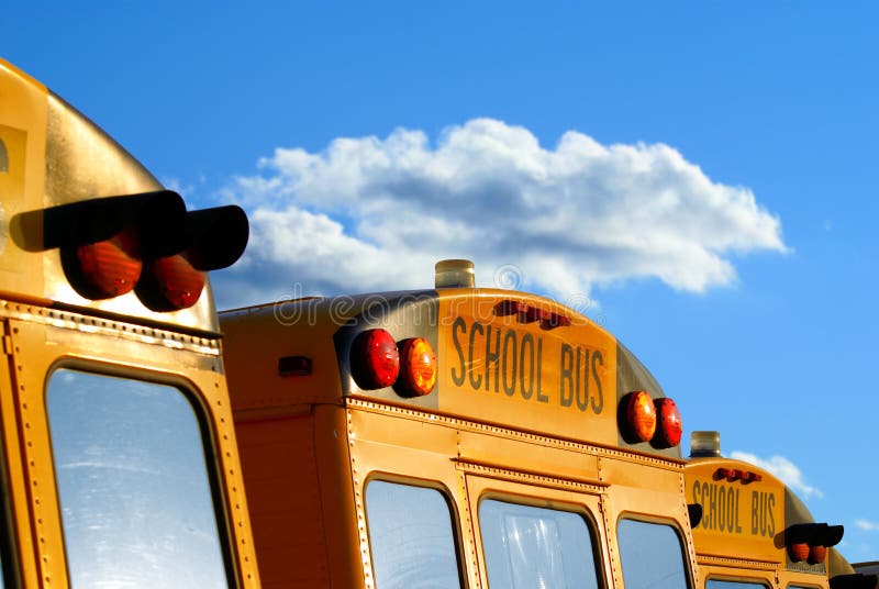 Parked school busses