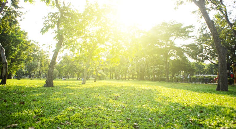 Park with bright grass and trees, sun glare. Relaxing fitness background. Spring-summer wallpaper. Low angle shooting. Park with bright grass and trees, sun glare. Relaxing fitness background. Spring-summer wallpaper. Low angle shooting