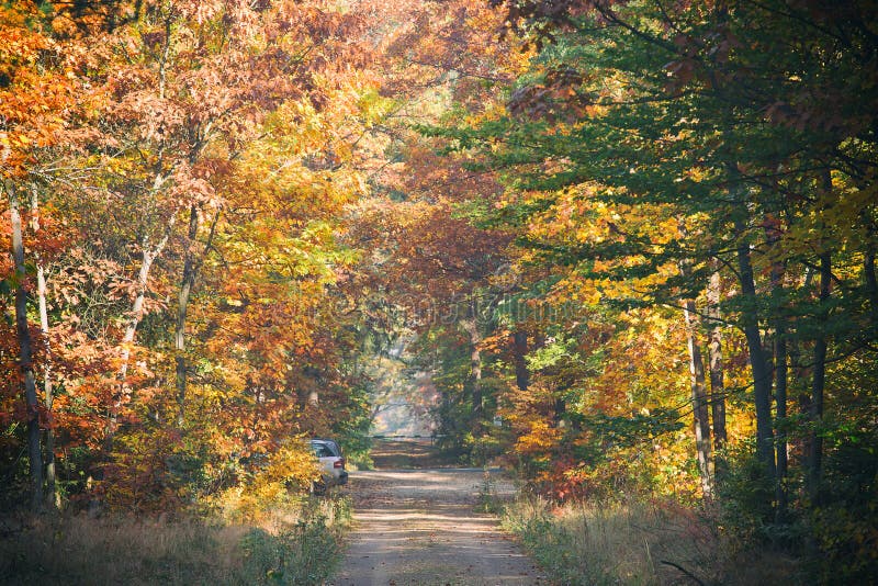 Parking for Cars in the Forest. Stock Image Image of october, sunny