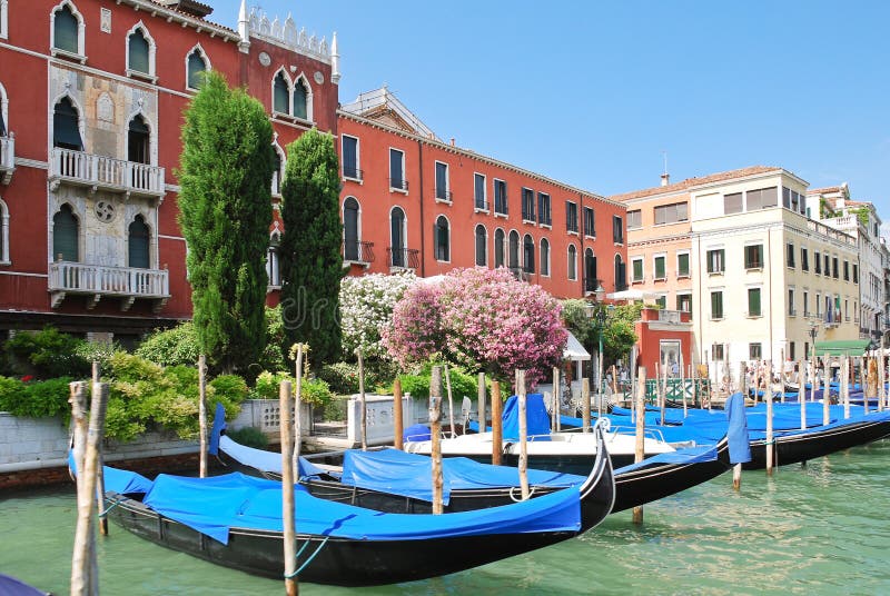 Parking of gondolas near Ponte di Rialto in Venice