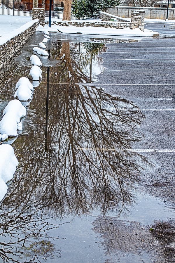 Parking na zimowym drzewie arboretum odbił się do góry nogami w kałuży śnieżnej na parkingu tulsa arboretum na snowy obraz stock