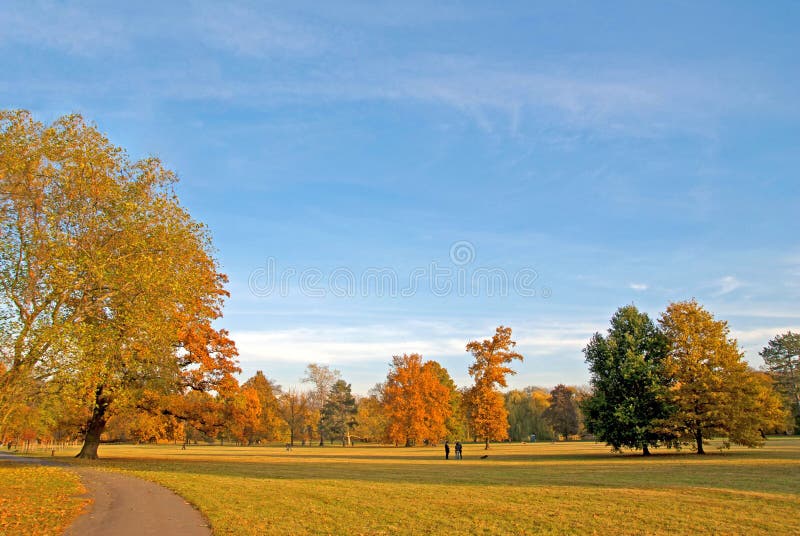 Parkland, park, trees, autumn