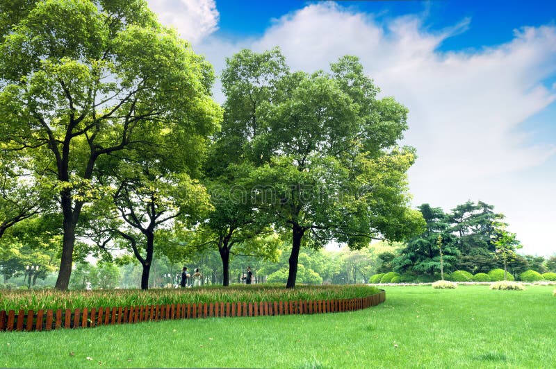Parkpaare und Hochzeitsfotographien lizenzfreie stockfotografie Parkpaare und Hochzeitsfotographien lizenzfreie stockfotografie