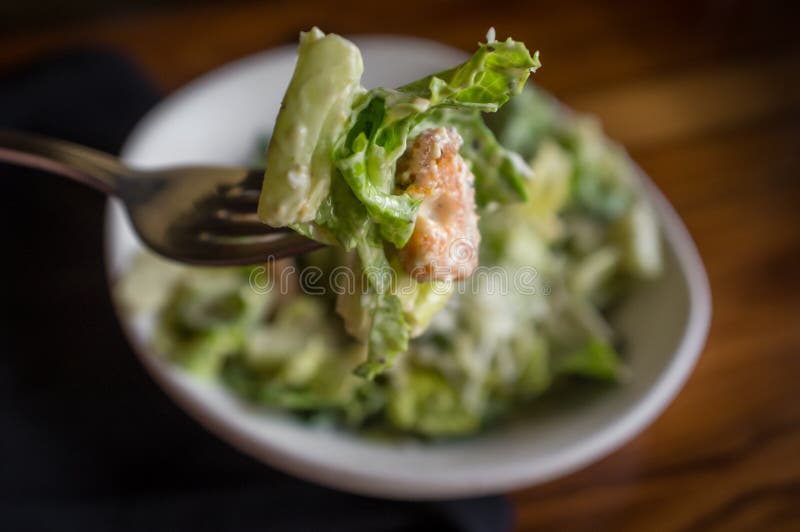 Parmesan Caesar Salad stock image. Image of lettuce, plate 76513831